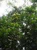 s_A_PICT0072_thumb.png
